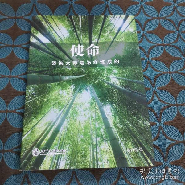 使命：咨询大师是怎样炼成的