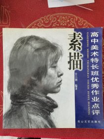 高中美术特长班优秀作业点评.素描