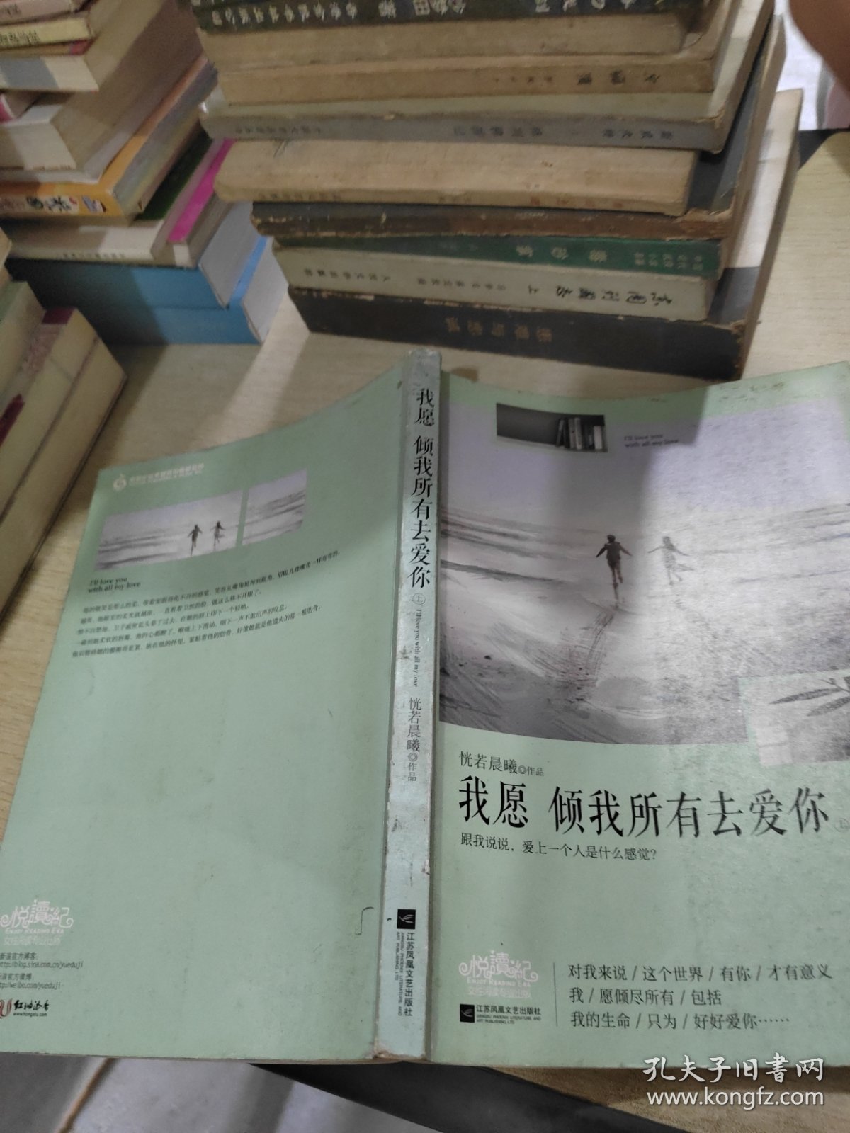 我愿倾我所有去爱你