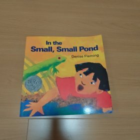 In the Small, Small Pond小小水塘