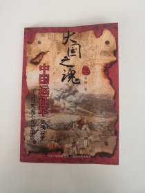 大国之魂 中国第一支王牌远征军的英雄史诗