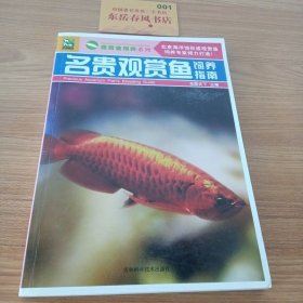 名贵观赏鱼饲养指南