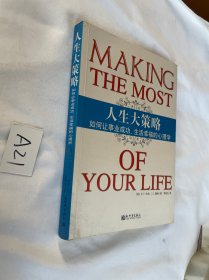 人生大策略：如何让事业成功、生活幸福的心理学