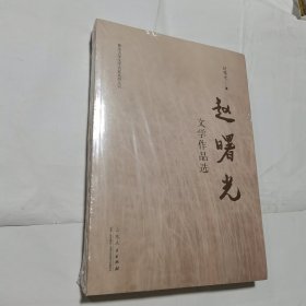 赵曙光文学作品选 全新未开封