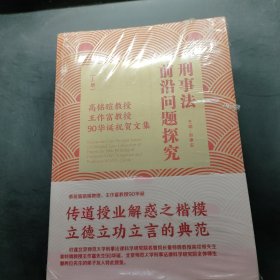 刑事法前沿问题探究（套装上下册）