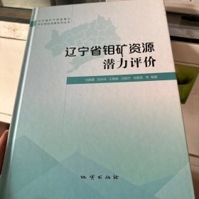 辽宁省钼矿资源潜力评价