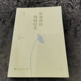 你和我的倾城时光 上下册