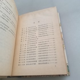 金瓶梅词话（上下册）