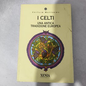 I celti. Una antica tradizione europea 意大利语