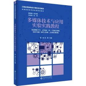 多媒体技术与应用实验实践教程 大中专理科计算机 作者 新华正版