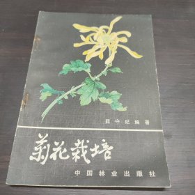 菊花栽培