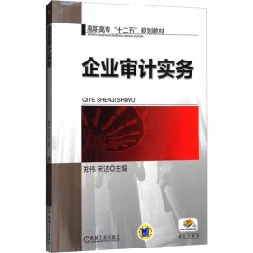 企业审计实务/高职高专“十二五”规划教材