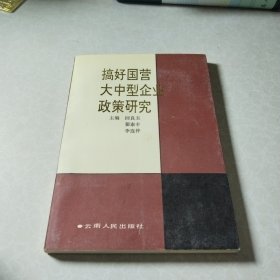 搞好国营大中型企业政策研究