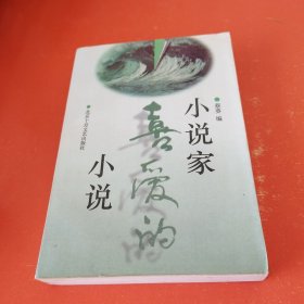 小说家喜爱的小说