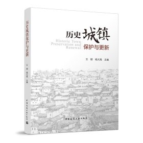 正版 历史城镇保护与更新 王颖，杨大禹 中国建筑工业出版社