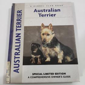 Australian Terrier