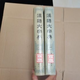 汉语大字典，第一卷第二卷合售馆藏书
