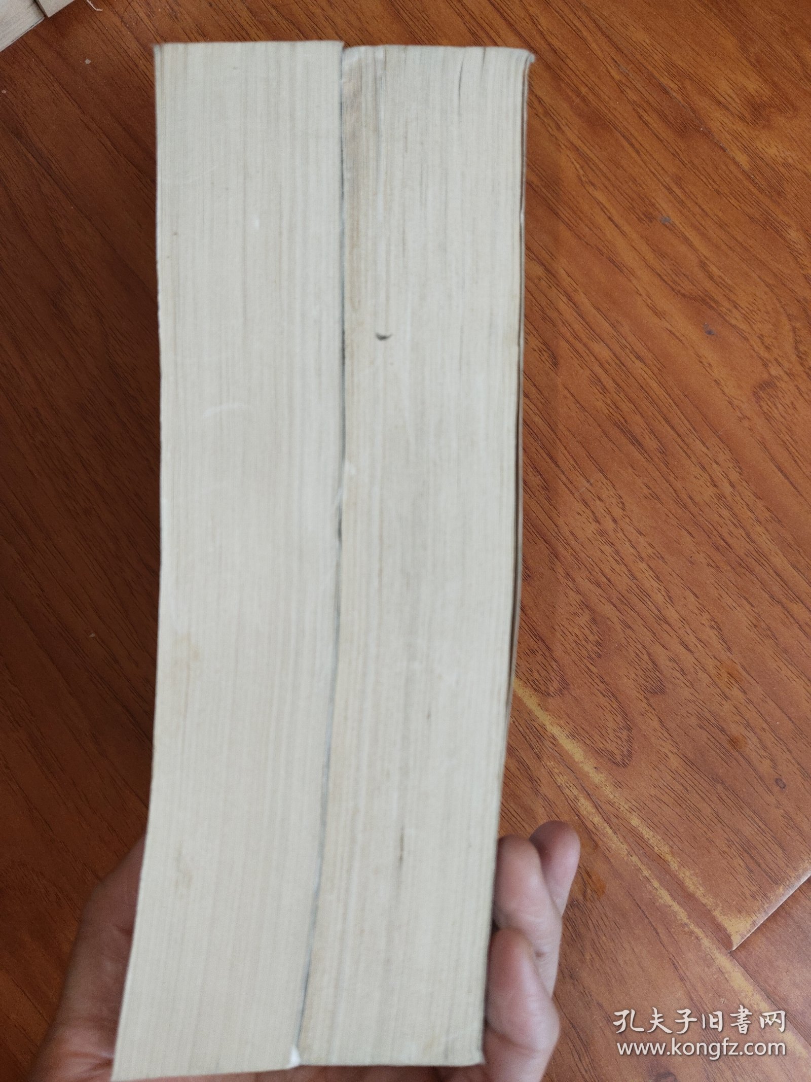 二十世纪中国文学史（上下）