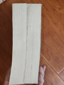 二十世纪中国文学史（上下）