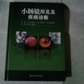 小肠镜所见及疾病诊断