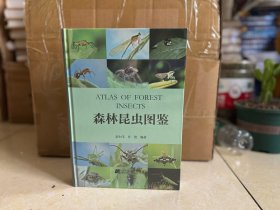 全新正版 森林昆虫图鉴