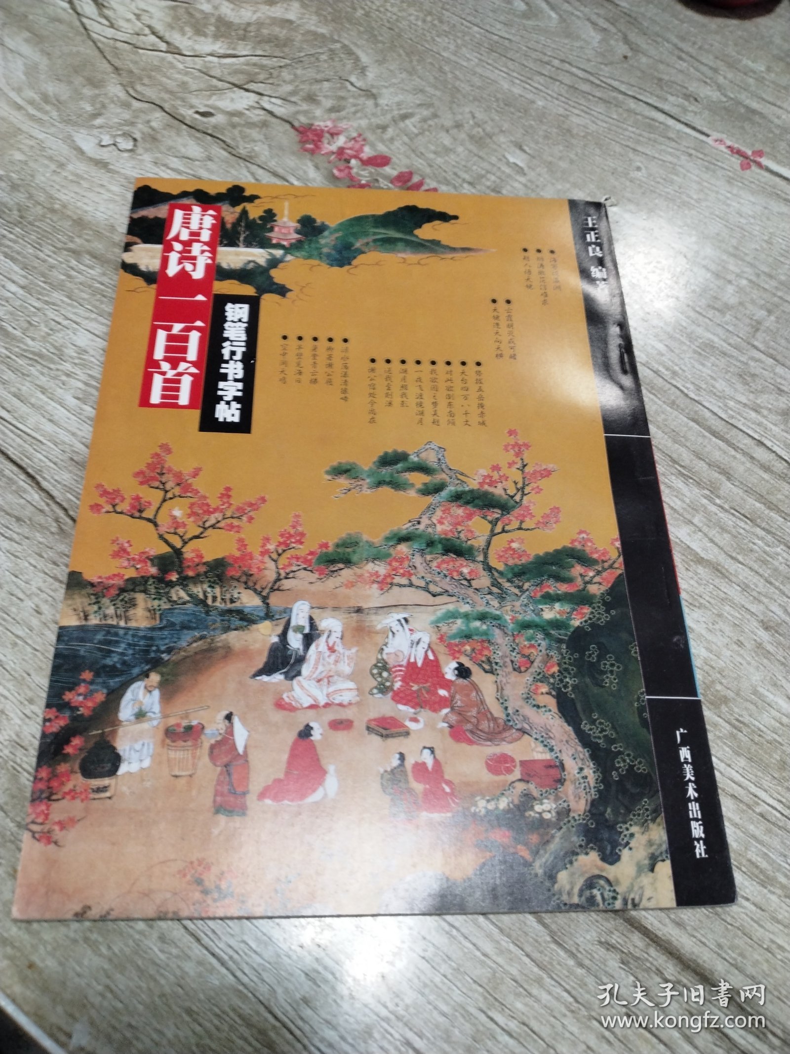 唐诗一百首钢笔行书字帖