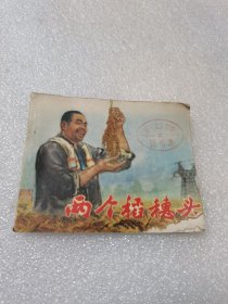 两个稻穗头