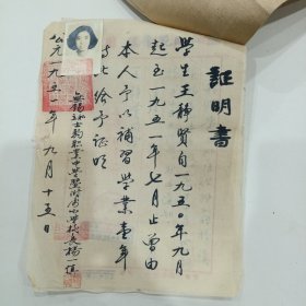 1951年，无锡私立士驹职业中学暨附属小学挍长（杨一慎）毛笔证明书，1951年，无锡市私立競志女子中学证明书，1951年，私立无锡中学成绩报告单，1953年浙江省师范学校（通知书），浙江省师范学院注意事项1张（26X26，34X20，26X19，25.5X18，20X13.5）