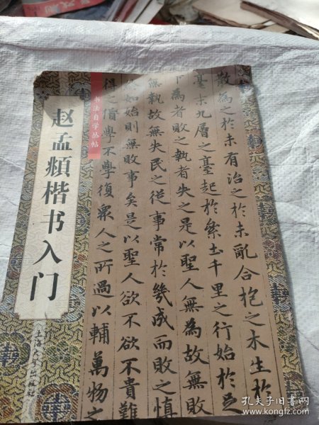 赵孟頫楷书入门