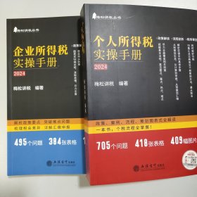 2册 个人所得税实操手册——政策、案例、流程、筹划图表式全解读（2024新版）+企业所得税实操手册——政策、热点、申报全解读（2024新版）