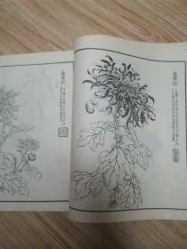 由里山人菊谱