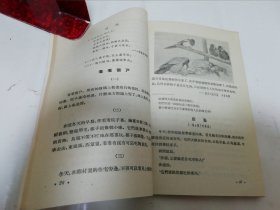 阅读课本‘俄罗斯联邦小学一年级’（彩画封面多插图，索洛弗约娃等合编，丁酉成等译，人民教育出版社1954年1版1印）2024.5.9日上