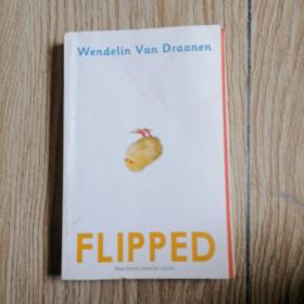 Flipped。内页干净无写划