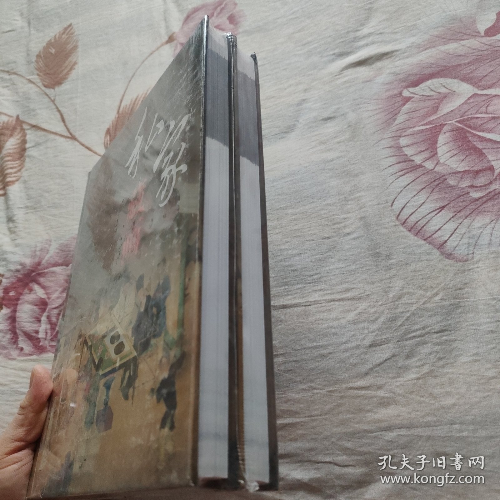 私家藏画彩图版全2册16开精装四色彩印 历代名画收藏鉴赏