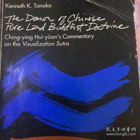 the dawn of chinese pure land 中国净土思想的黎明 净影慧远的观经义疏专论