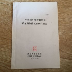 小铁山矿尾砂胶结充填絮凝沉试验研究报告 鉴定资料