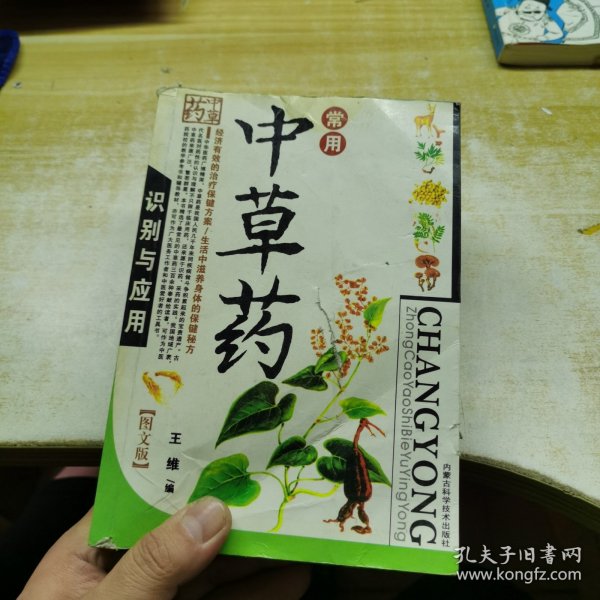 常用中草药识别与应用（图文版）