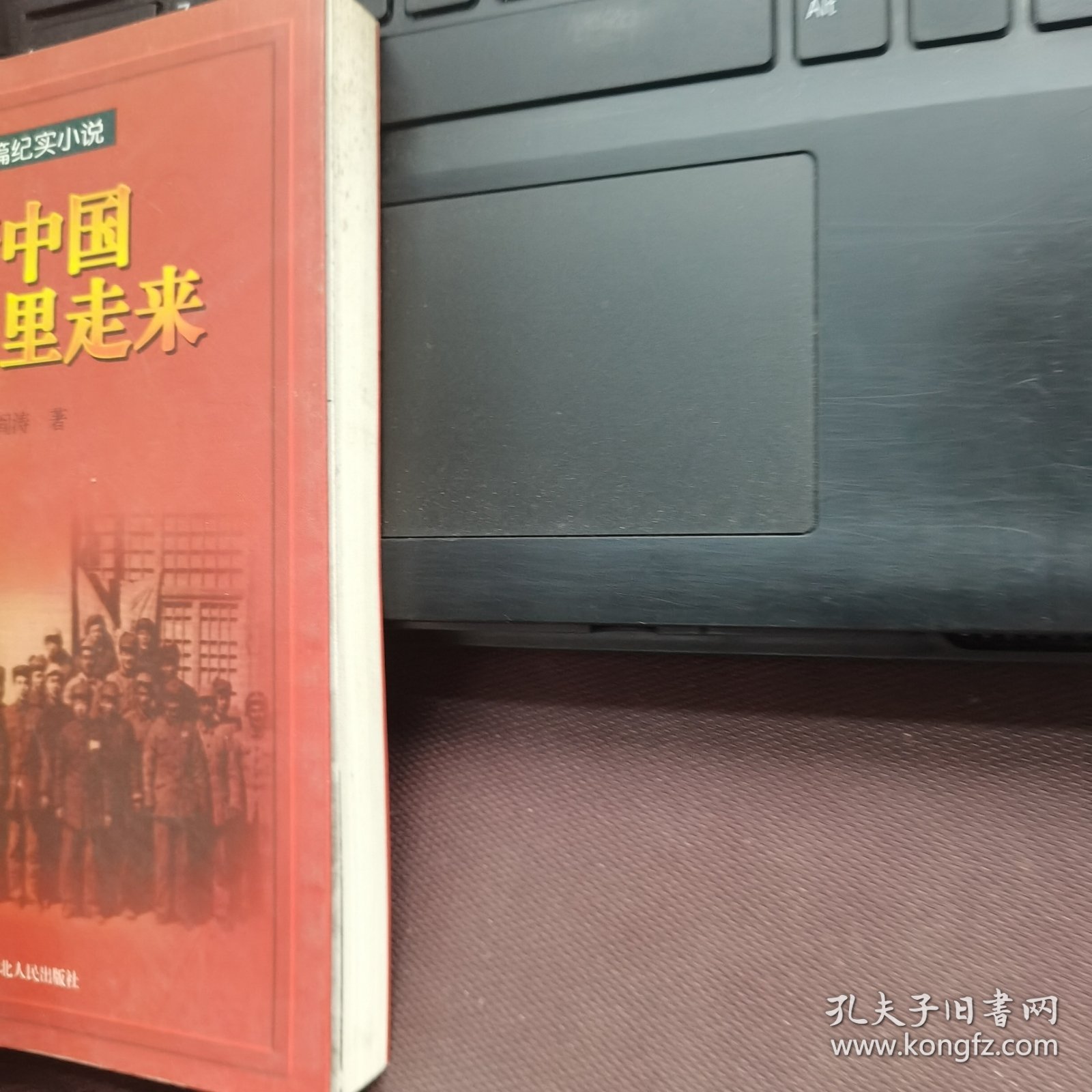 新中国从这里走来:长篇纪实小说