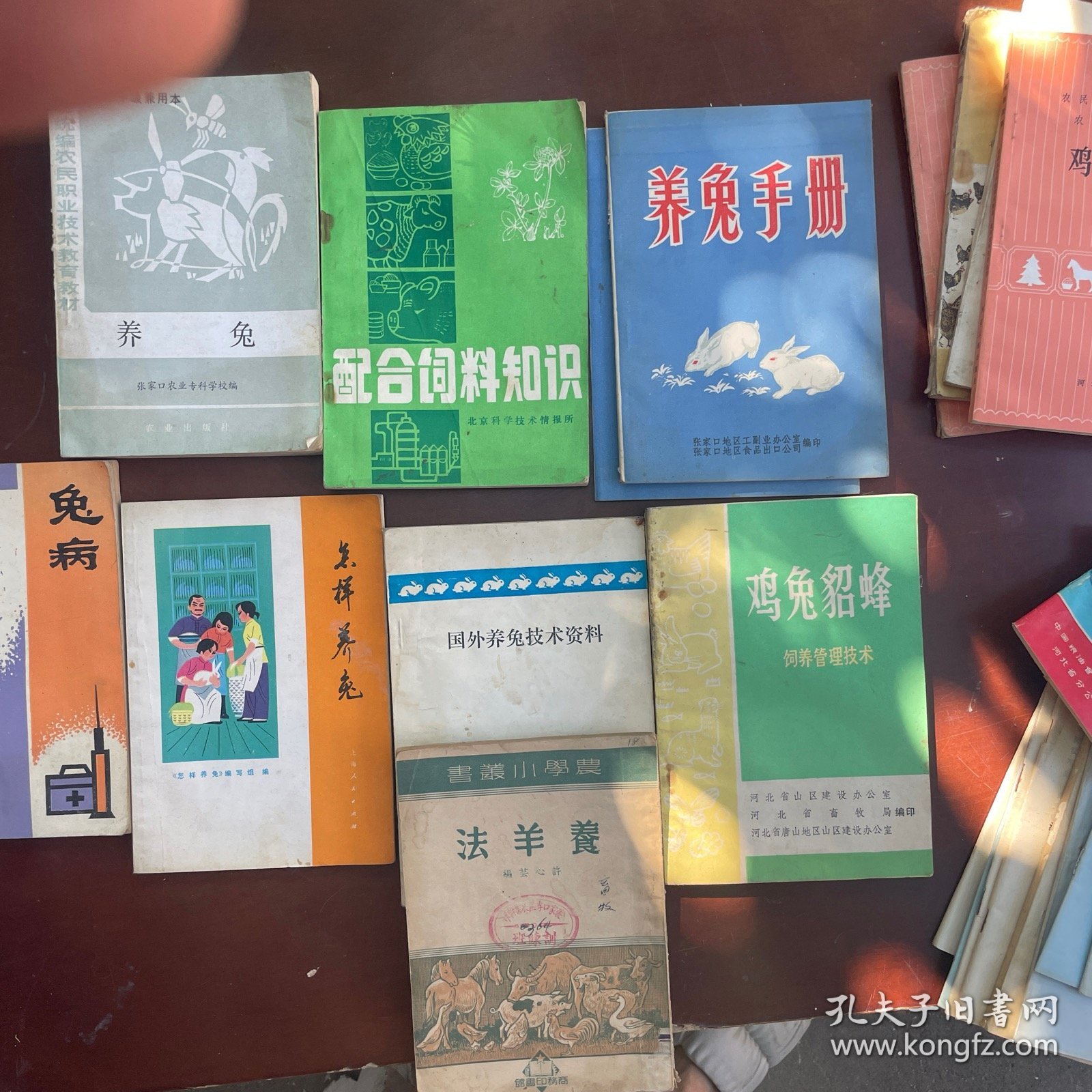 怎样养兔（每本5元）