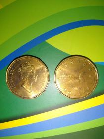 全新加拿大1元硬币