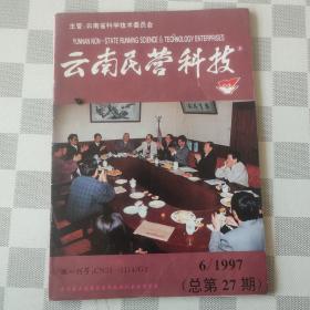 云南民营科技1997年6期
