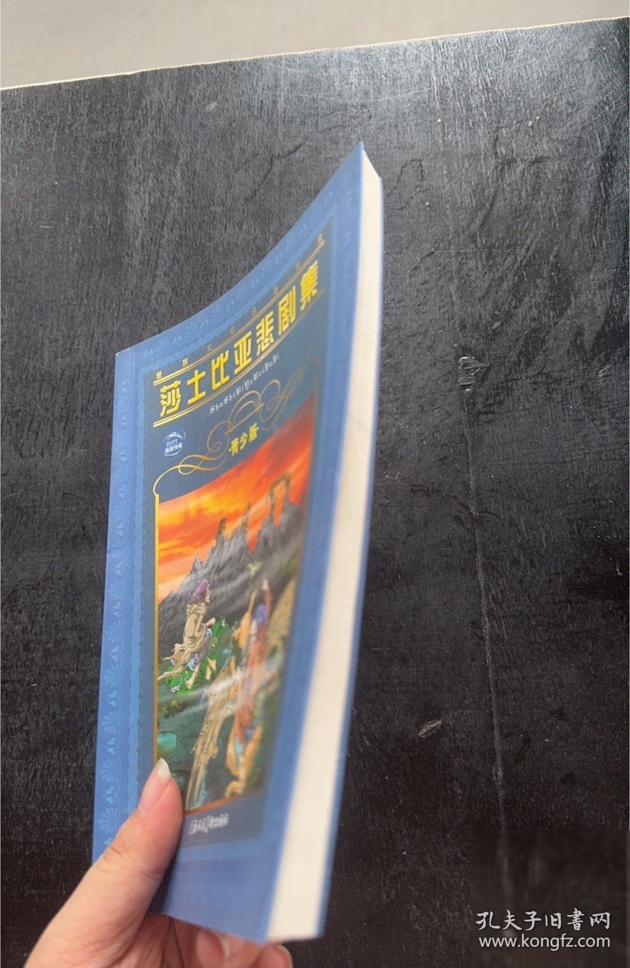 世界文学名著宝库：莎士比亚悲剧集亦点；莎士比亚9787532232574