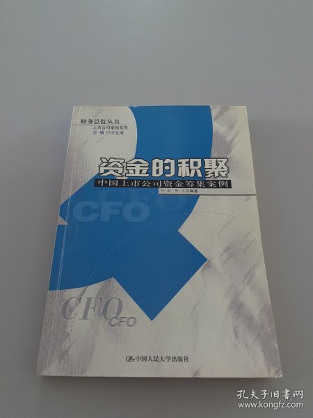 资金的积聚：中国上市公司资金筹集案例