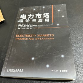 电力市场：理论与应用