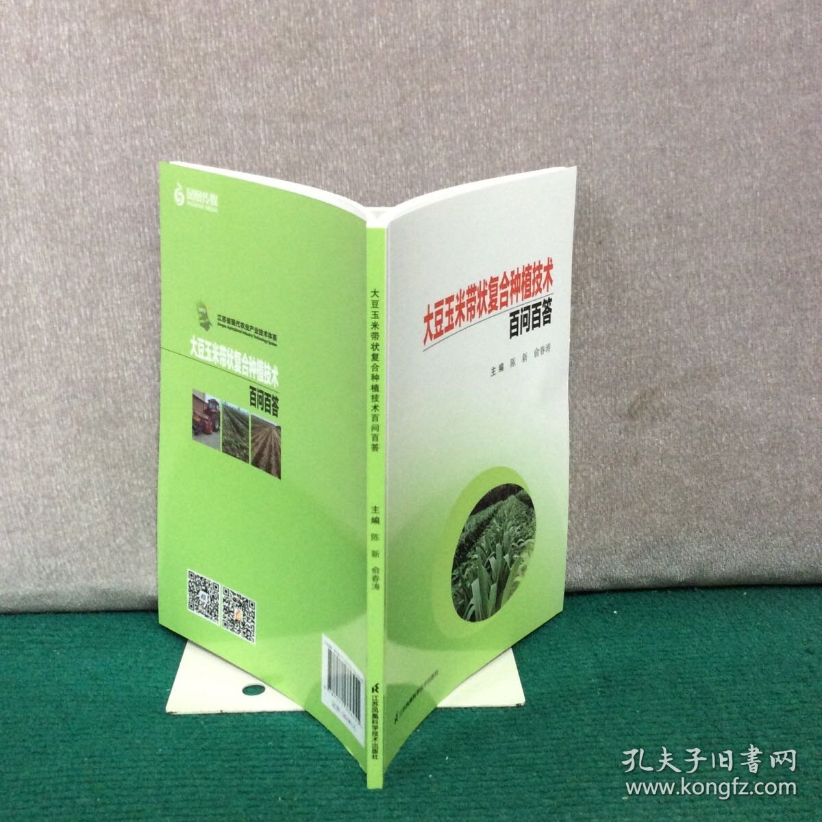 大豆玉米带状复合种植技术百问百答