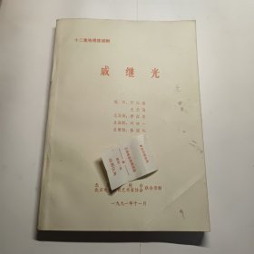 十二集电视连续剧 戚继光 剧本