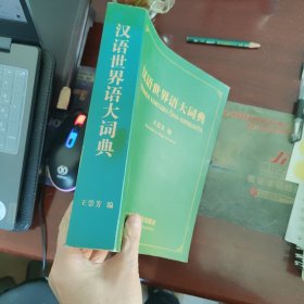 汉语世界语大词典(平装)