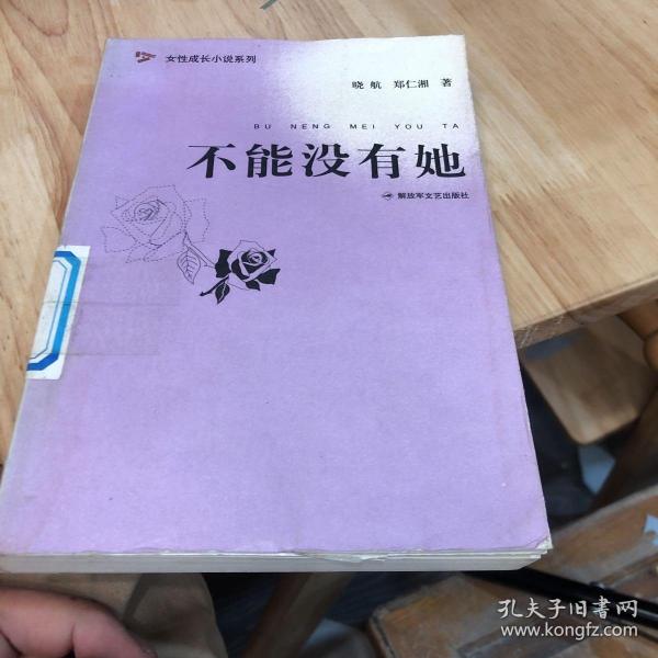 不能没有她——女性成长小说系列