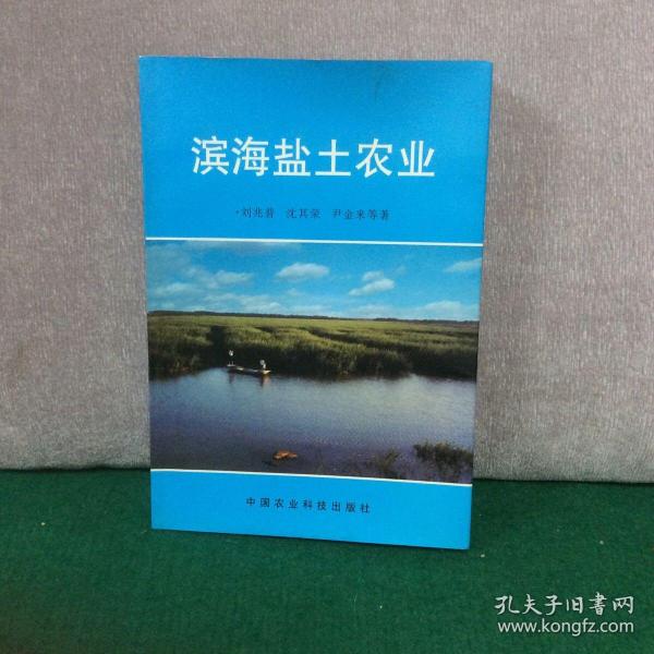 滨海盐土农业