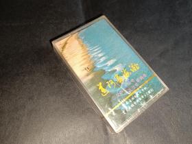 迈阿密海滩磁带 于佳易 沈慧琴 歌曲选 外盒品相如图有个小裂纹 未拆封